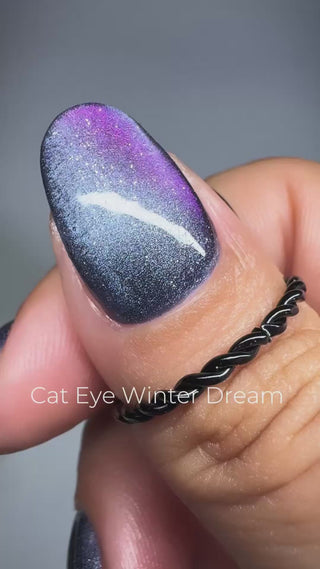 Cat eye Winter Dream_Paarse galaxy cat eye gellak nagels_LAKKIE Gellak
